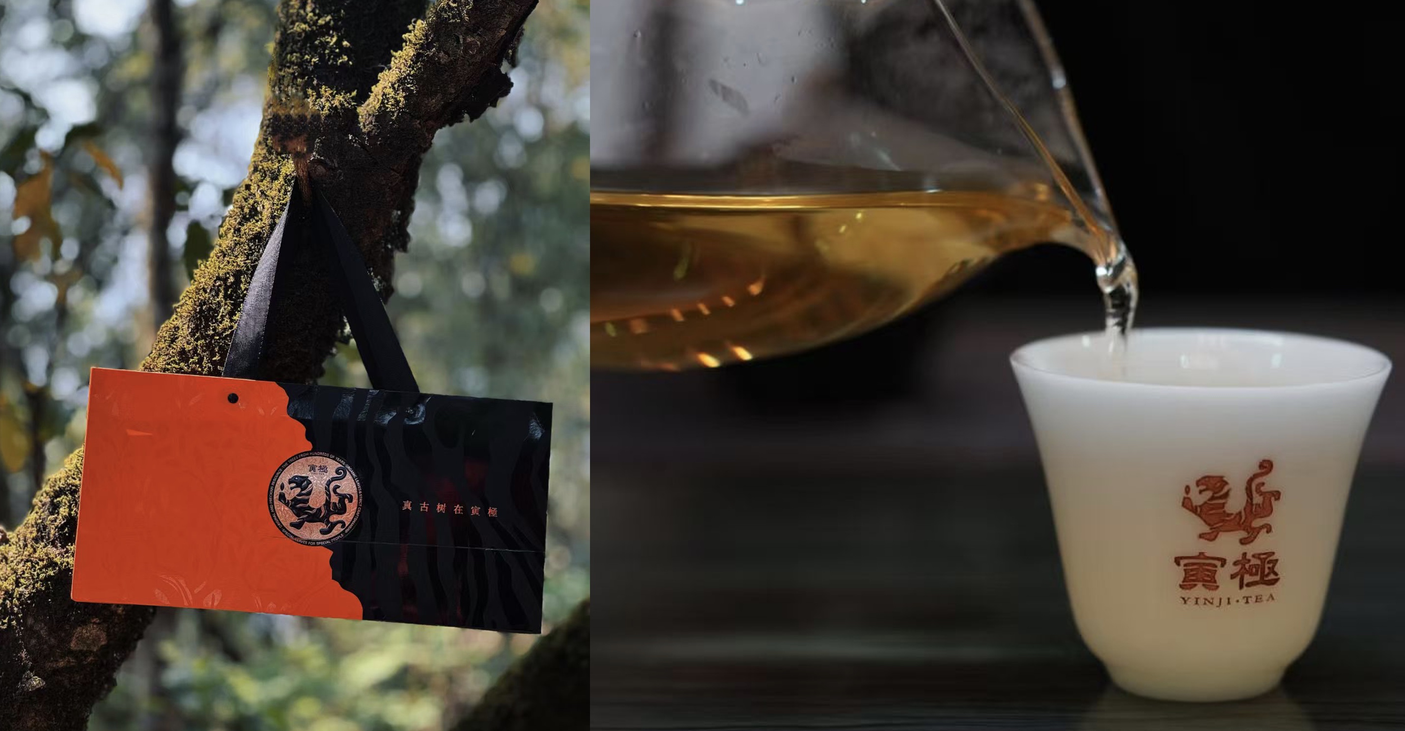 普洱茶品牌策劃.jpg