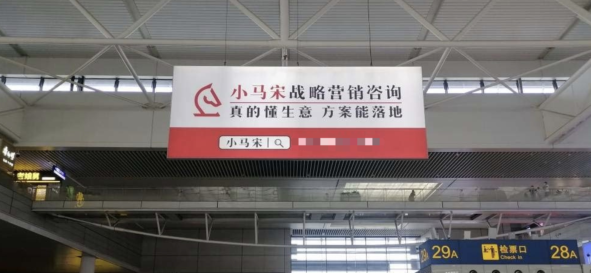 小馬宋.jpg