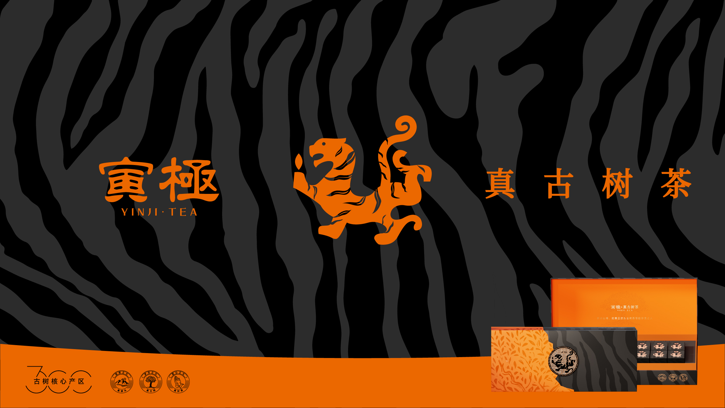 寅极.jpg